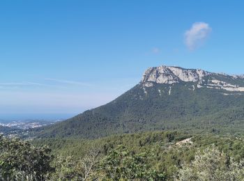 Trail Walking La Farlède - De La farlède au plateau de Mourras - Photo