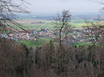 Tocht Stappen Kœstlach - Rando Koestlach...