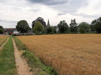 Excursión Senderismo Ath - Houtaing 170824 - Photo