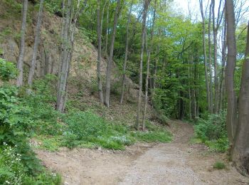 Percorso A piedi Rochlitz - Wanderweg Rochlitz – Schwarzbach – Colditz - Photo