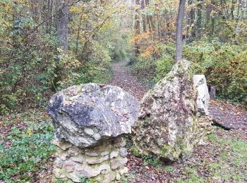 Trail Walking La Ferté-sous-Jouarre - la Ferte sous Jouare - Photo