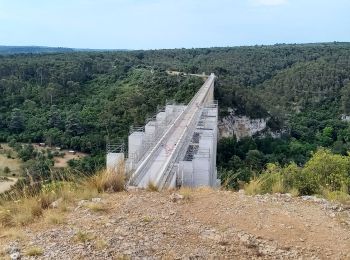 Excursión Bici de montaña Vitrolles - ventabren - Photo