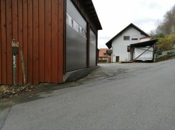 Trail On foot Oberzent - Rundwanderweg Sparkasse Odenwaldkreis 6: Burg-Freienstein-Weg - Photo