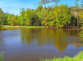 Excursión A pie Zdechovice - [Ž] Morašice - Svojšice - Photo