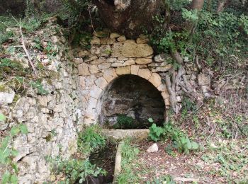 Tocht Mountainbike Badefols-sur-Dordogne - badefol 5 et Molière  - Photo