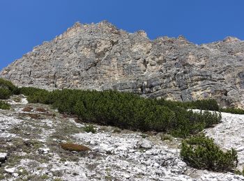 Tocht Te voet Corvara in Badia - Corvara - IT-4A - Photo