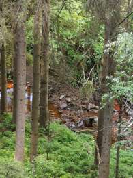 Excursión Senderismo Malmedy - Canyon des Trôs-Marets   - Photo