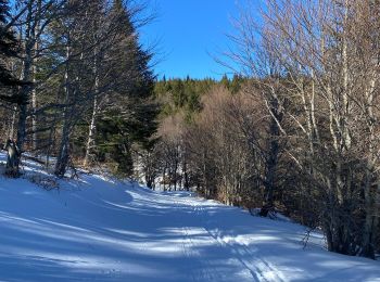 Tour Wandern Pont de Montvert - Sud Mont Lozère - Le Pic Cassini - Photo