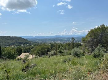 Tocht Stappen Draguignan - Draguignan Roche aux Fées Malmont 17 km - Photo