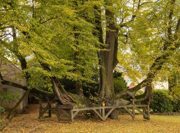 Percorso A piedi Wolkenstein - Ww Annaberg-Wiesa-Neundorf-HP Warmbad - Photo