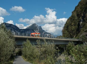 Tocht Te voet Glarus Nord - Linthmündung - Mülital - Photo