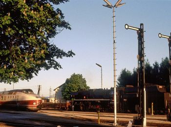 Percorso A piedi Gemeinde Gmünd - Teichkettenweg - Photo