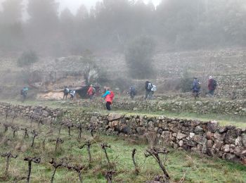 Randonnée Marche Ribes - Ribes-Saint André Lachamp-Le Coquou - Photo