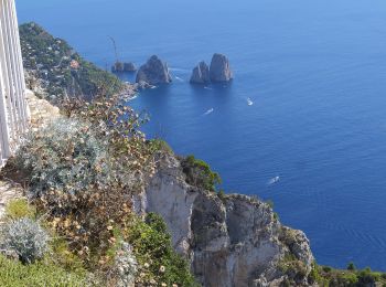 Tour Zu Fuß Anacapri - IT-390 - Photo