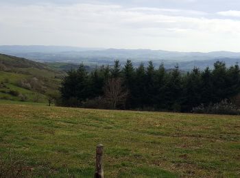 Tour Wandern Ville-sur-Jarnioux - montmelas.vaux en beaujolais - Photo