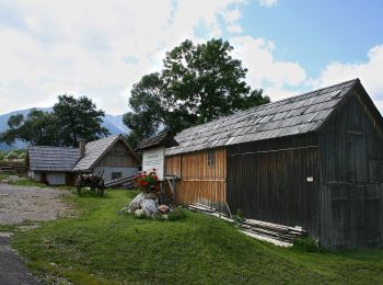 Tour Zu Fuß Gemeinde Puchberg am Schneeberg - Puchberg Nordic Walking - Photo