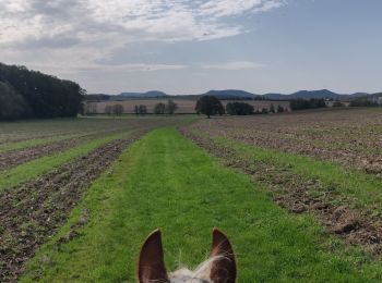 Percorso Equitazione Lichtenberg - 2019-10-13 Rando CVA Lichtenberg vers Weiterswiller - Photo