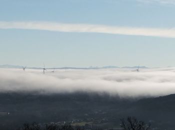 Trail Walking Talencieux - talencieux - Photo