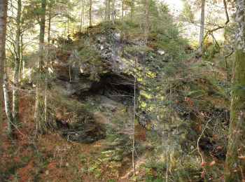 Tocht Te voet Todtmoos - Lebküchlerweg Todtmoos - Photo