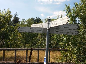 Randonnée A pied Eschau - Roter Hase Rundwanderweg Eschau - Photo