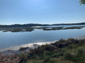 Excursión Senderismo Plougoumelen - Randonnée le Traon - Photo