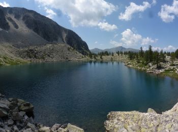 Excursión Senderismo Valdeblore - Lac Tavels - Photo