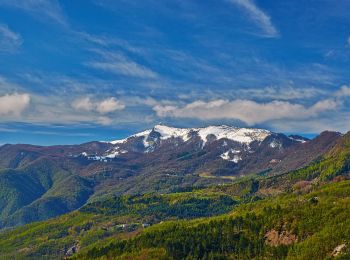 Tour Zu Fuß Brallo di Pregola - IT-115 - Photo