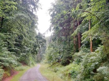 Tocht Te voet Herrenberg - Blauer Balken - Photo