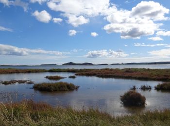 Tour Wandern Bages - De Bages à Peyriac-de-Mer - Tour de la lagune  - Photo