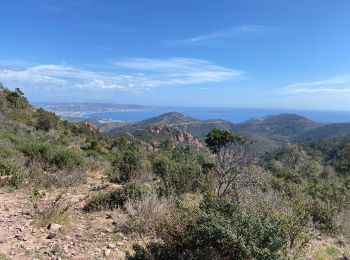 Randonnée V.T.T. Les Adrets-de-l'Estérel - Esterel 3 : Fait 02/04/23 petit tour tranquille par DFCI  - Photo