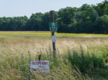 Tocht Te voet Gemeinde Weiden an der March - Biberweg - Photo