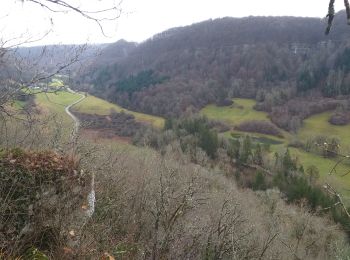 Randonnée Marche Ornans - Bonnevaux du bas - Photo