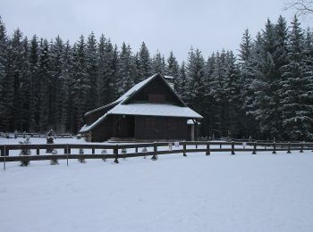 Tocht Te voet Skořice - [M] Hořejší Padrťský rybník - Pod Hubertkou - Photo