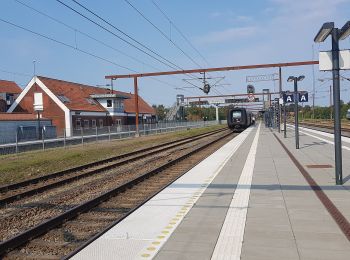 Tocht Te voet  - Mosevang-Ruten - Photo
