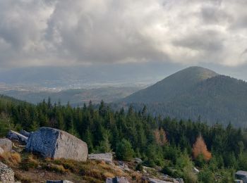 Randonnée Marche Lutzelhouse - 2019-11-30 Marche Rocher de Mutzig Noll - Photo