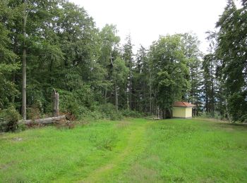 Randonnée A pied Věšín - [Ž] Varta - Třemšín - Photo