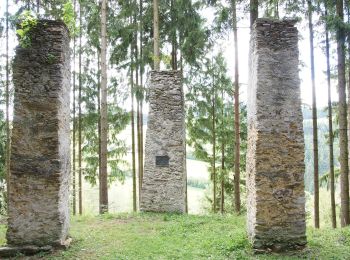 Trail On foot Strallegg - Hoamatweg - Photo