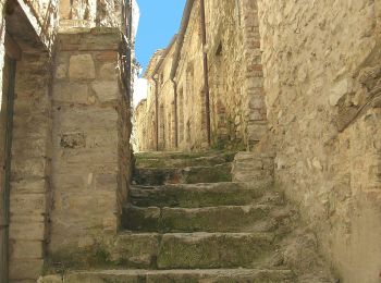 Tocht Te voet Fabriano - IT-109 - Photo