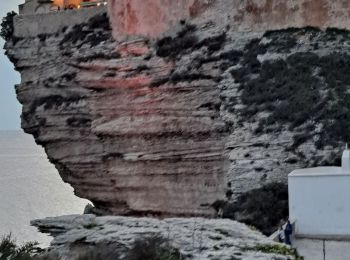 Tour Wandern Bonifacio - Grotte de Pertusatu - Photo