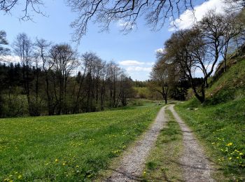 Randonnée A pied Rüthen - Kallenhardt A8 - Photo