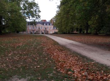 Tour Wandern La Marolle-en-Sologne - La Marolle en Sologne_ villeny_20181007 - Photo