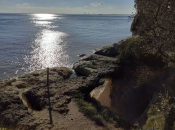 Percorso Marcia Meschers-sur-Gironde - meschers - Photo