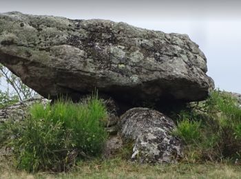 Excursión Senderismo Olloix - de Olloix à Champeix - Photo