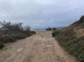 Tour Wandern Narbonne - Port la Nautique  - Photo