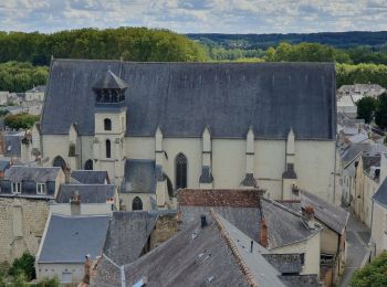 Randonnée Marche Chinon - Rumba à Chinon - Photo