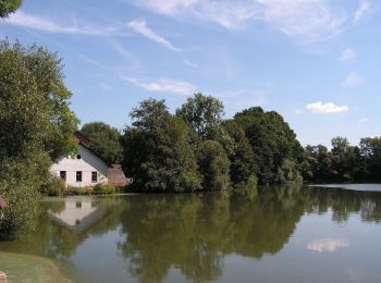 Tour Zu Fuß Jankow - [M] Jankov - Šlapánov - Photo