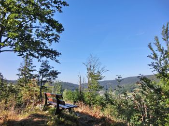 Trail On foot Warmensteinach - Warmensteinach Rundwanderweg Nr. 4 - Photo