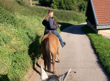 Tour Reiten Ban-sur-Meurthe-Clefcy - Fraize avec Delphine  - Photo