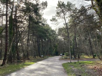 Percorso Marcia Le Touquet-Paris-Plage - Le Touquet : Canadiens vers Golf - Photo