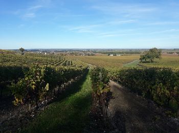 Randonnée Marche Saint-Preuil - Circuit des fontaines et des lavoirs - Variante balisage Violet - Photo